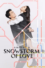 Amidst a Snowstorm of Love (2024) S01 Dual Audio [Hindi & Chinese] TV Shows Download & Watch Online WEB-DL 480p, 720p & 1080p GDrive