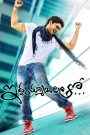 Dangerous Khiladi 2-Iddarammayilatho (2013) Hindi Dubbed Movie Download & Watch Online WEBRip 480p, 720p & 1080p GDrive