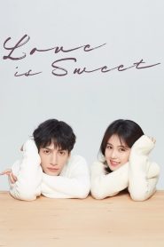 Love Is Sweet (2020) S01 Dual Audio [Hindi & Korean] TV Shows Download & Watch Online WEB-DL 480p, 720p & 1080p GDrive