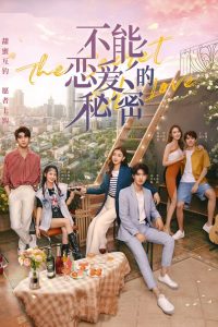 The Secret of Love (2021) Dual Audio [Hindi & Chinese] S01 TV Shows Download & Watch Online WEB-DL 480p, 720p & 1080p GDrive