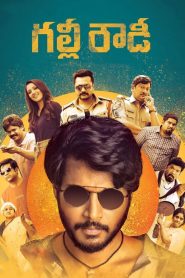Gully Rowdy (2021) Dual Audio [Hindi & Telugu] Movie Download & Watch Online WEB-DL 480p, 720p & 1080p