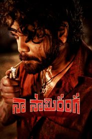 Naa Saami Ranga (2024) Dual Audio [Hindi & Telugu] Movie Download & Watch Online WEB-DL 480p, 720p & 1080p GDrive