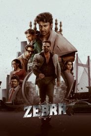 Zebra (2024) Hindi Movie WEB-DL 480p, 720p & 1080p GDrive