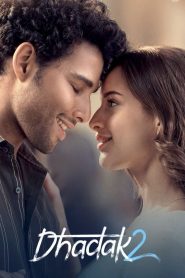 Dhadak 2 (2025) Hindi Movie WEB-DL 480p, 720p & 1080p GDrive