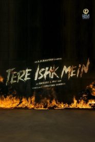 Tere Ishk Mein (2025) Movie WEB-DL 480p, 720p & 1080p GDrive